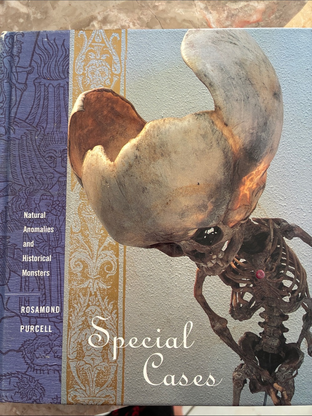 Special Cases by Rosamond Purcell - Natural Anomalies Book - Gray & Brown